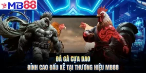Đá Gà Cựa Dao - Đỉnh Cao Đấu Kê Tại Thương Hiệu MB88