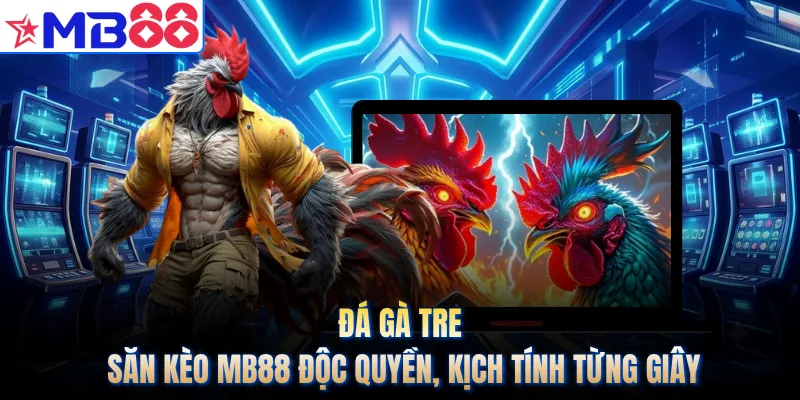 Đá Gà Tre - Săn Kèo MB88 Độc Quyền, Kịch Tính Từng Giây