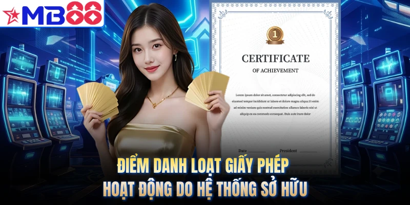 Điểm danh loạt giấy phép hoạt động do hệ thống sở hữu